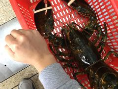 -蚝专家(北滘店)