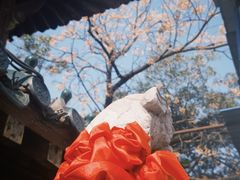 -长春观