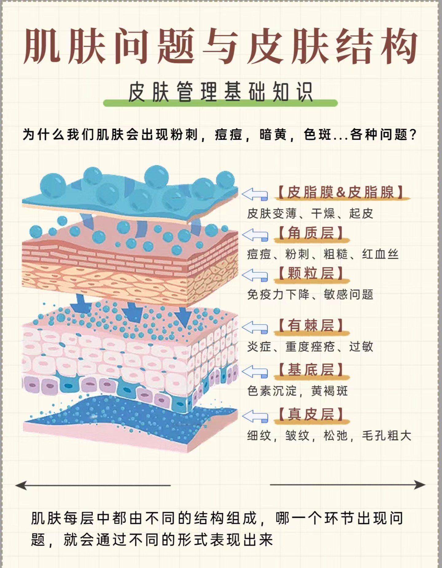 拒绝无效护肤带你1分钟了解皮肤结构
