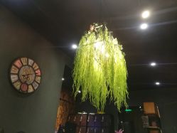 -藤野造型·专业烫染店