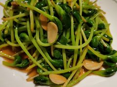 炝炒青豆苗-皇城根北京风味主题餐厅(中海环宇城店)