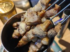 只撒盐的羊肉串-蒙料·手把肉(望京店)