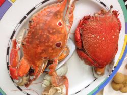 iphone_upload_pic-阳光五洲大酒店·宴会厅