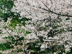 -堤角公园