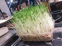 -小王少龙火锅(沙南街店)