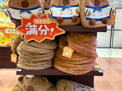 -首开·龙湖成都西宸天街