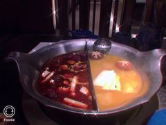 台式麻辣花胶鸡鸳鸯锅-湊湊火锅·茶憩(世博大道店)