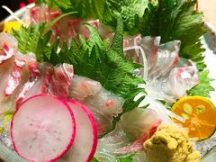 鲷鱼半刺半烤-綱元·海鲜豆捞(明州里店)