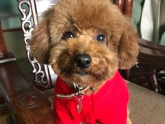 -佳雯宠物医院(金华南路分院)