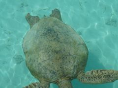 -卡帕莱度假村(西巴丹岛)