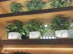 -云海肴云南菜(曲江大悦城店)