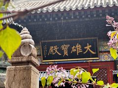 -红螺寺