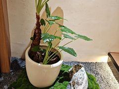 -常乐·对症推拿(嘉里中心第132分店)