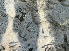 -龙达温泉生态城