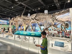 -国家自然博物馆