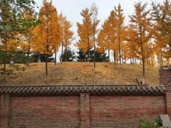 -东升八家郊野公园