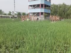 -河北村民俗体验园