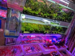 -双季花艺园艺市场(浦东店)