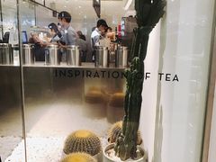 -喜茶(深圳东门1234店)