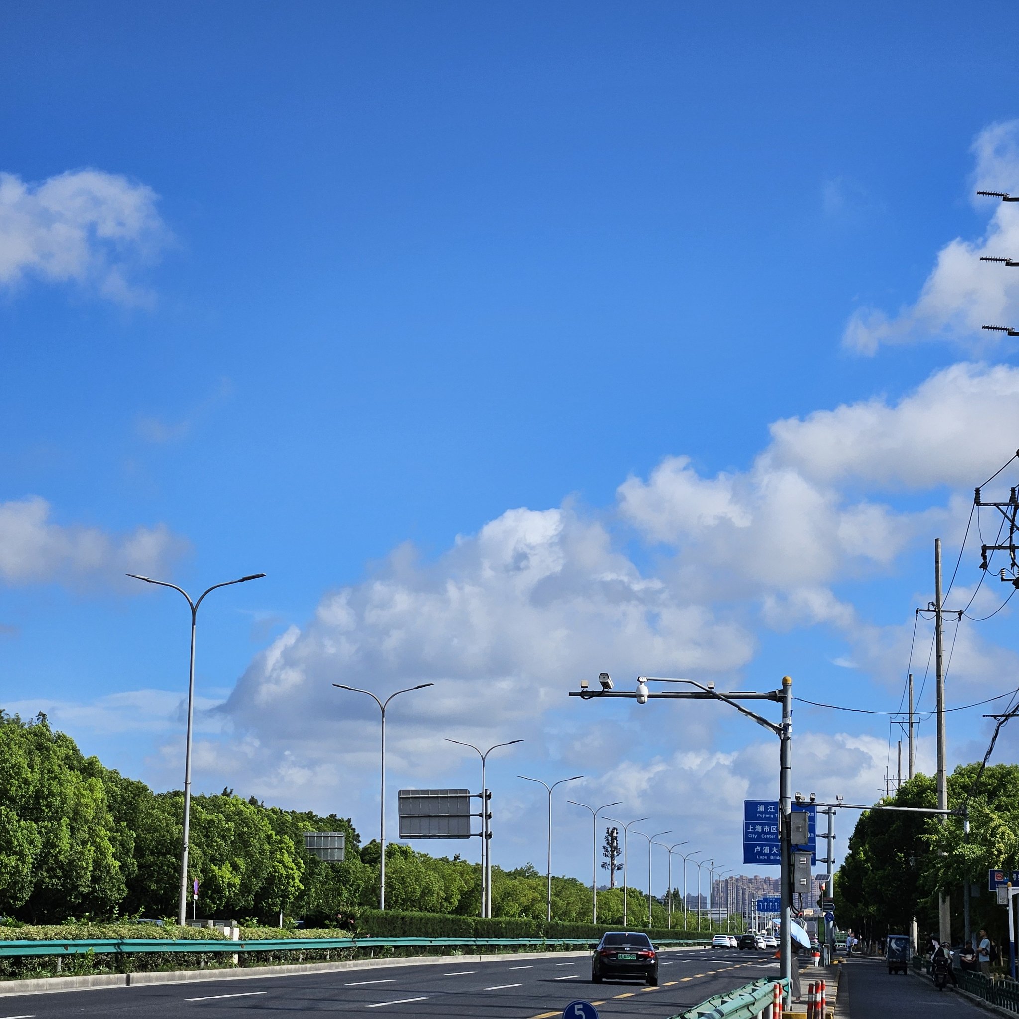 夏天的美丽风景