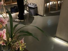 -施奈儿.洗头頭療.按摩SPA.采耳(上梅林店)