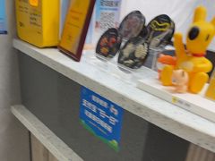 -半岛宠物医院24小时(白果林店)
