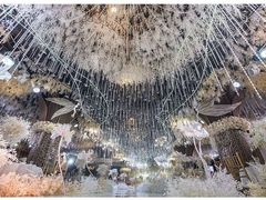 -世纪缘国际会议中心·中餐厅(百家湖店)