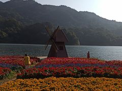 -广州市石门国家森林公园
