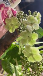 -吾行DIY手工坊(壹方北馆店)