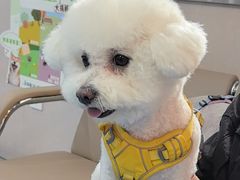 -万博宠物医院·手术·诊疗(未央凤城五路店)