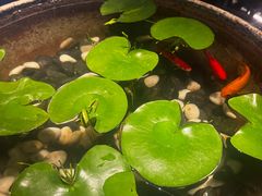 -曲水兰亭(北京四惠店)