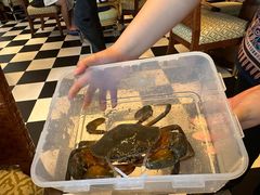 -亚特兰蒂斯·蟹餐厅 CRAB KITCHEN·鲜活海鲜