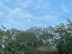 -肯德基(蓝谷地DT店)