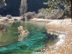 -九寨沟-树正沟