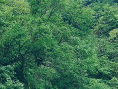 -西安祥峪森林公园