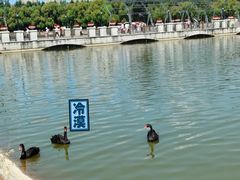 -长春世界雕塑园冰雪艺术天地