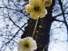 -木塔寺遗址生态公园