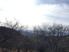 -香山公园