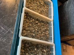 -星伦多 自助料理(圆融店)