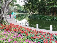 -人民公园(罗湖区)