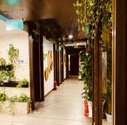 -青青一生美皮肤管理