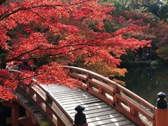 -醍醐寺
