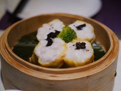 -点都德·毕德寮