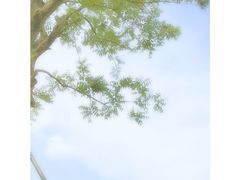 -昆山城市生态森林公园