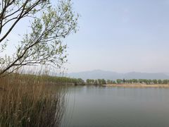 -野鸭湖国家湿地公园