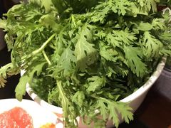 茼蒿-蜀九香火锅(营口店)