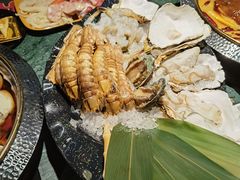 -牛New寿喜烧(金鹰世界店)