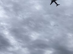-空港花田景区