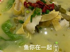 -鱼你在一起(南开天佑城店)
