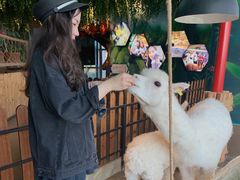 -昆明大悦城未来动物城(螺蛳湾中心店)